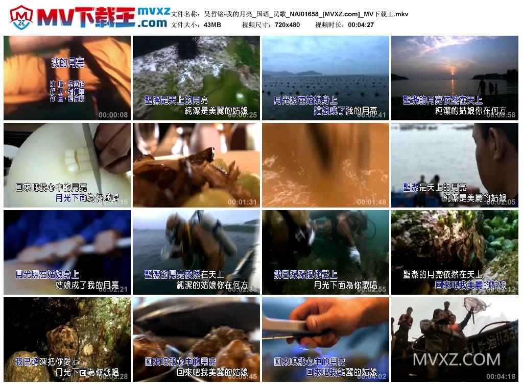 吴哲铭-我的月亮_国语_民歌_NAI01658